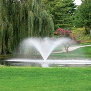 Red Flags to Watch for When Shopping for Discount Pond Fountains Online